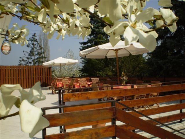 Vadregeny Panzio Bed and Breakfast Esztergom Exterior foto