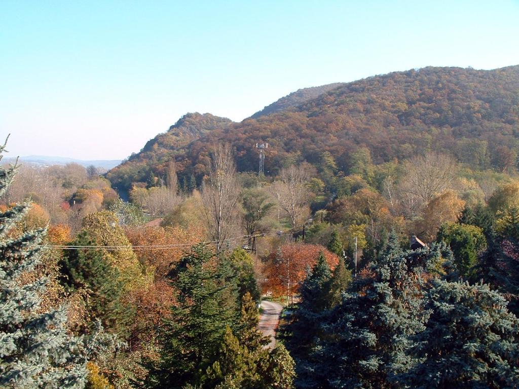 Vadregeny Panzio Bed and Breakfast Esztergom Exterior foto